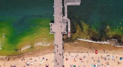 Wzrasta temperatura i poziom wody w Bałtyku. Eksperci alarmują