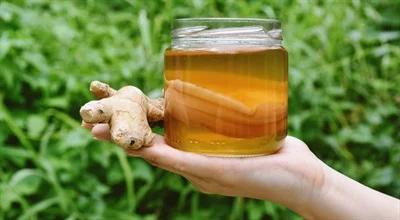 Zupełnie inna herbata. Kombucha w roli głównej