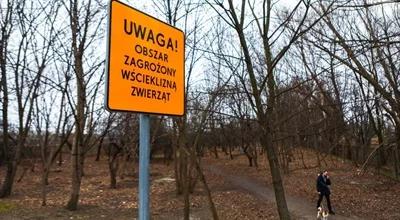 Lubelskie. Coraz więcej zakażeń wścieklizną, to już 16. ognisko choroby