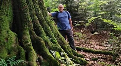 Na ratunek lasom uzdrowiskowym z okolic Iwonicza-Zdroju