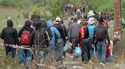 Pakt migracyjny UE. Politolog: zmieniło się stanowisko Polski, ponieważ nie blokuje tych rozwiązań