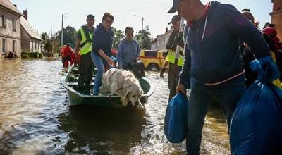 Powódź w Polsce. Sprawdź, jak można pomóc zwierzętom